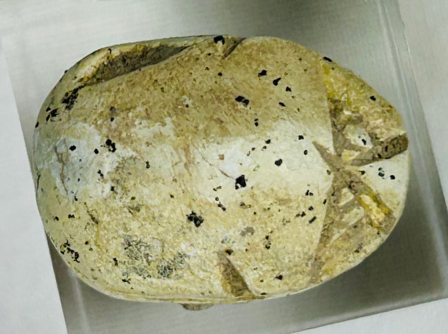 Archaeological Egyptian scarab amulet photographed against neutral background