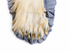 Close-up detail of a polar bear rug paw showing the natural fur, long claws, and grey ruffled fabric edging.