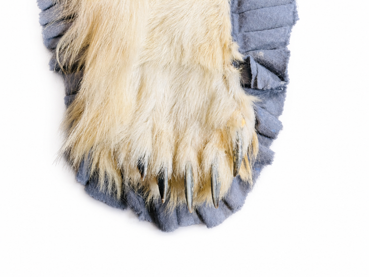 Close-up detail of a polar bear rug paw showing the natural fur, long claws, and grey ruffled fabric edging.