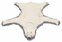 Antique polar bear rug head with glossy eyes, black nose, open mouth, visible teeth, and ivory fur.