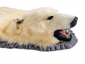 Side-profile close-up of an antique polar bear rug head showing the glass eye, black nose, open mouth, teeth, and grey trim