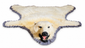 Antique polar bear skin rug displayed in full on a clean white background with grey fabric edging and mounted head.