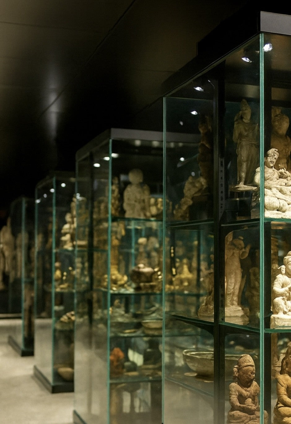 Row of illuminated glass display cases at Relic & Rarity showcasing ancient statues and artifacts in a museum-style setting.