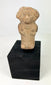 Classic Veracruz terracotta female figure with wide headdress and ritual posture