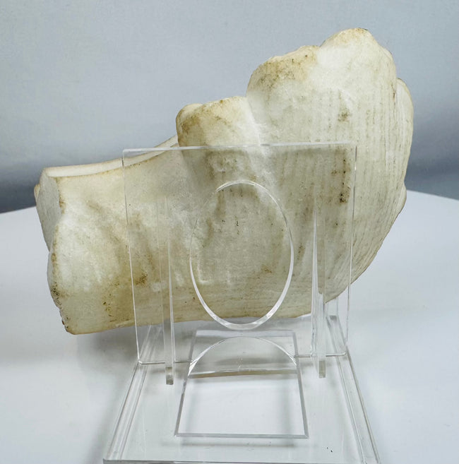 Carved marble architectural element with floral and scrolling Baroque motifs from 18th-century Italy.
