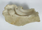 Detail view of a carved marble architectural fragment from a historic church interior in Sicily.