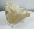 Historic carved marble fragment originating from San Domenico Church, Noto, Italy.