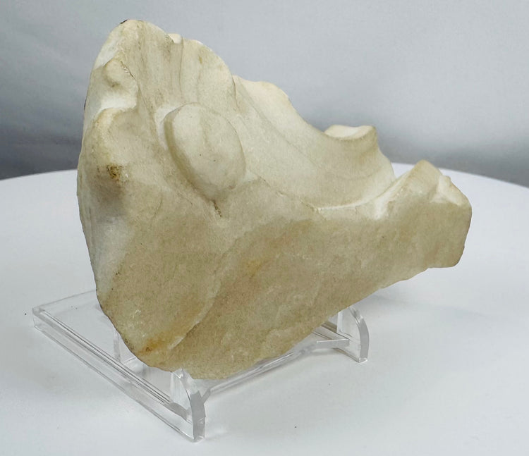 Historic carved marble fragment originating from San Domenico Church, Noto, Italy.
