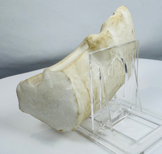 Authentic Sicilian Baroque marble fragment mounted for display with visible historic weathering.