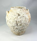 Marine-encrusted Song Dynasty terracotta jar salvaged from Southeast Asian waters, large rounded vessel for liquids or grains
