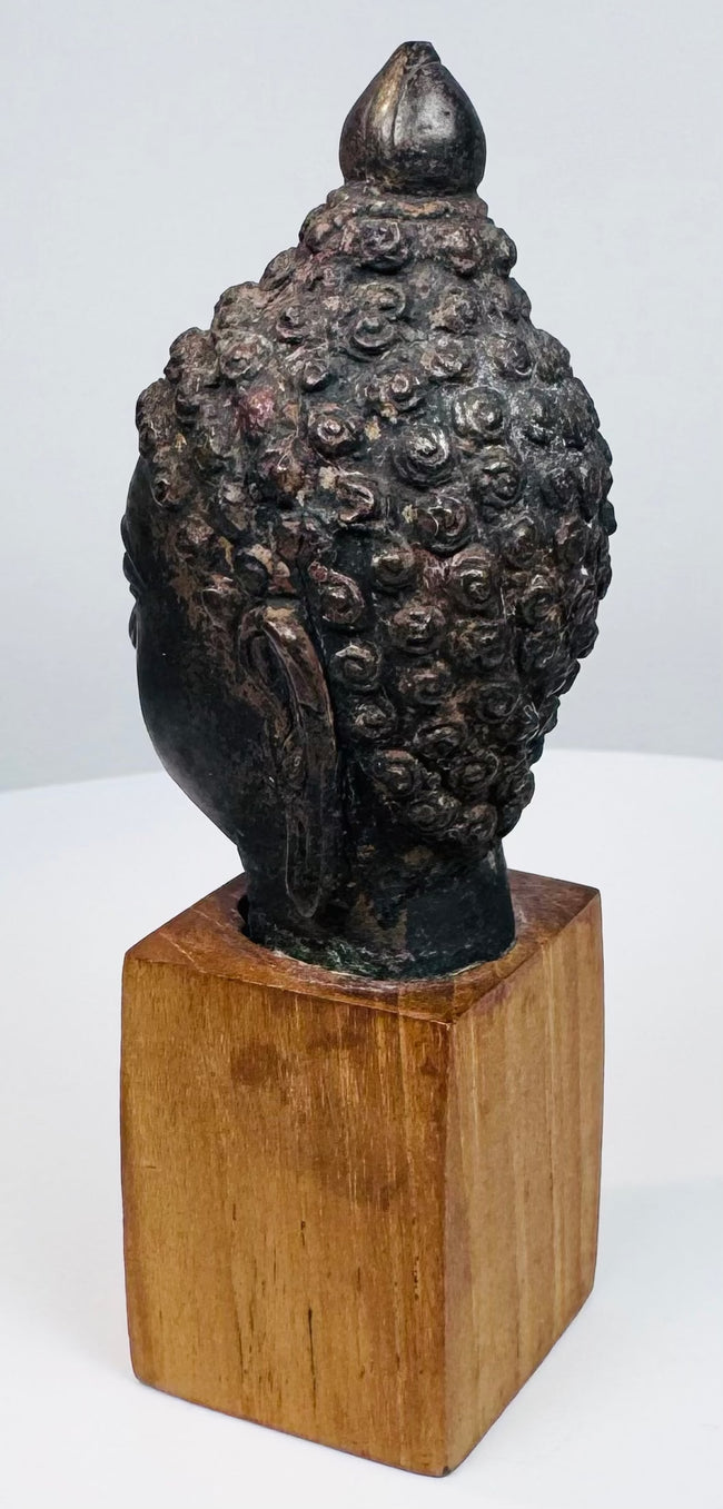 Historic bronze Buddha head with spiritual expression, textured curls, and warm wooden mount