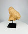 Ancient Niger Bura terracotta head early West African ceremonial artifact