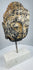 Historic Buddha head sculpture with peaceful expression mounted on a white marble base