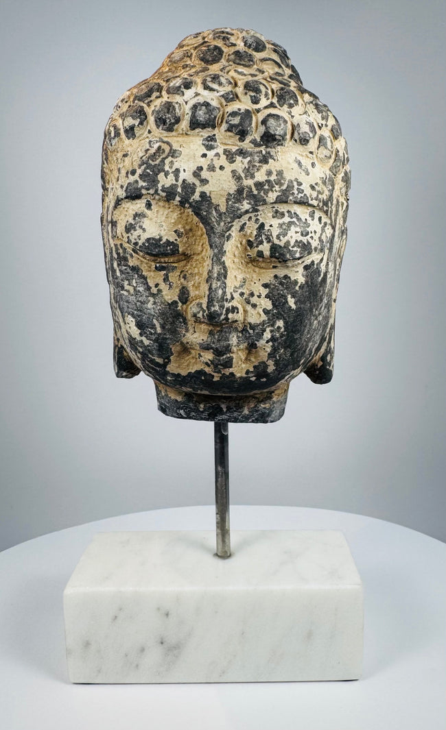 Front view of carved stone Buddha head with serene expression and tightly curled hair