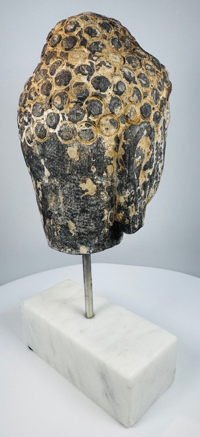 Detailed view of antique Buddha head with symmetrical facial features and textured curls