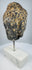 Detailed view of antique Buddha head with symmetrical facial features and textured curls