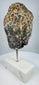 Detailed view of antique Buddha head with symmetrical facial features and textured curls