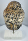 Southeast Asian Buddha head sculpture showing aged stone surface and surviving pigment