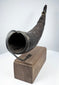 Close view of an antique Tibetan Buddhist horn displaying its curved profile, carved details, and natural aged surface.