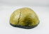 Side view of Tibetan Kapala ritual skull cup showing cranial sutures and natural bone patina, 19th century Buddhist ceremonial vessel.