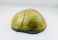 Side view of Tibetan Kapala ritual skull cup showing cranial sutures and natural bone patina, 19th century Buddhist ceremonial vessel.