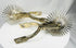 Huaso spurs from Chile with decorative engraving and multi-point star rowels
