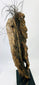 Historic Sepik River ceremonial figure showing ritual pigments and authentic patina