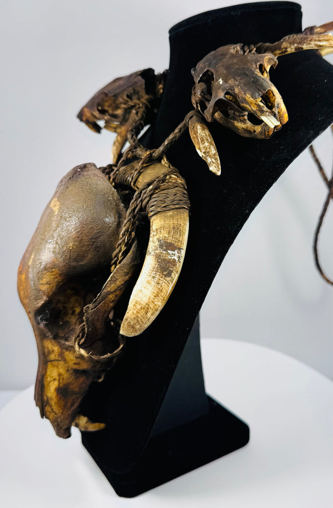 Animal skull necklace showing the depth of its central skull, projecting curved teeth, and woven twine attachments.