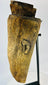 Profile view of ethnographic ritual mask emphasizing wood grain, aged texture, and ceremonial wear.