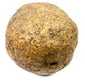 Close-up of dense spherical stone artifact with weathered mineral texture