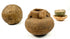 Set of three ancient relics: stone sphere, ridged pot, and glazed dish