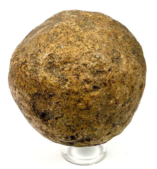 Spherical stone relic with pitted surface on acrylic display stand