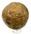 Spherical stone relic with pitted surface on acrylic display stand