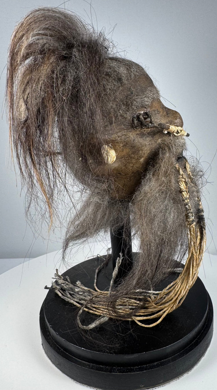 Anthropological curiosity from the mid-20th century reproducing the appearance of a traditional Amazonian shrunken head.