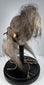 Mid-century ethnographic curiosity modeled after a Jivaroan tsantsa, with sewn facial details and natural horse hair.