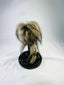 Museum-style replica of a Jivaroan shrunken head, featuring detailed facial stitching, horse hair, and glass globe presentation