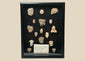 Pre-Columbian Mesoamerican terracotta fragments shadowbox, 16 votive heads, busts, and maskettes from Teotihuacan and Veracruz traditions, 200 BCE–900 CE, archaeological patina