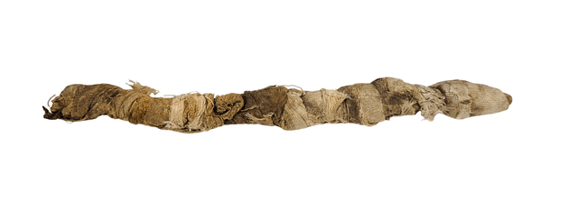 Ancient Egyptian mummified juvenile crocodile dating to circa 664 BC–100 AD, shown in full with its original tightly bound linen wrappings.