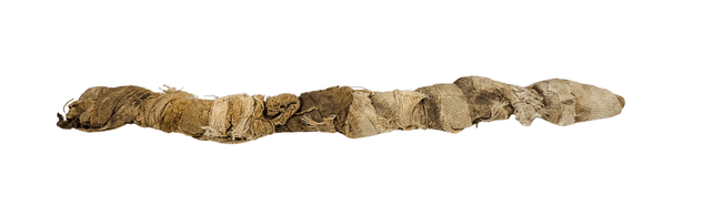 Side view of an ancient Egyptian crocodile mummy showing the elongated votive form and naturally aged linen wrappings associated with the worship of Sobek.