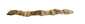 Side view of an ancient Egyptian crocodile mummy showing the elongated votive form and naturally aged linen wrappings associated with the worship of Sobek.