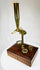 Gould style brass microscope designed to mount on its case lid