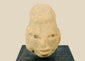 Small Pre-Columbian terracotta head fragment from West Mexico shaft-tomb culture, circa 300 BCE–300 CE, with almond-shaped eyes, defined features, and elongated cranial form, mounted on a black display base, photographed on a white background.