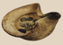 Ancient Carthaginian terracotta saucer-shaped oil lamp with associated bronze coins from Carthage, circa 5th Century BCE–1st Century AD