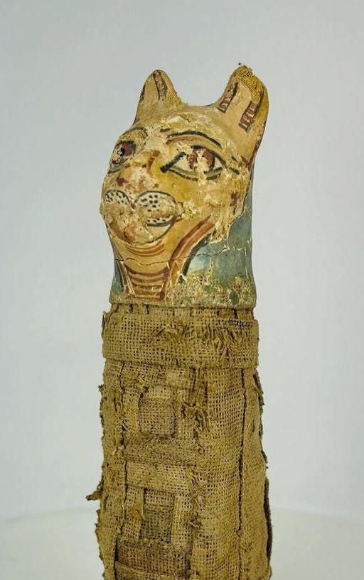 Authentic Bastet cat mummy artifact on wooden base