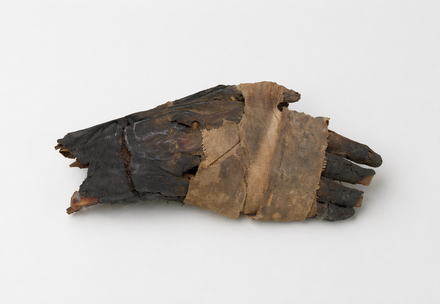Ancient Egyptian mummified human hand with linen bandaging and dark preserved tissue, displayed horizontally on a clean neutral background.
