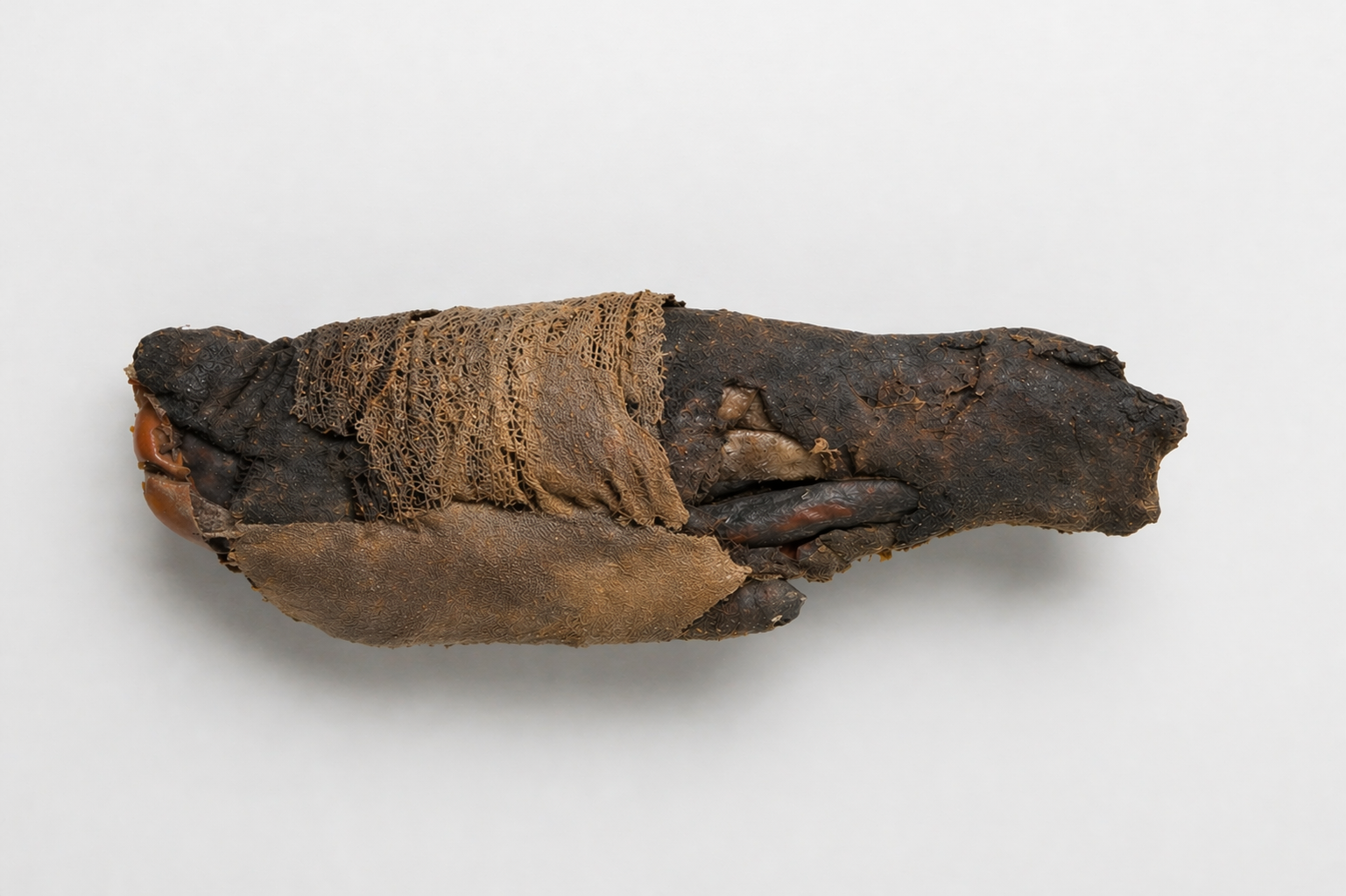Ancient Egyptian mummified human hand with preserved linen wrapping and dark desiccated tissue, photographed on a neutral museum-style background.