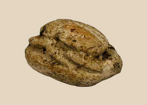 Ancient Egyptian carved steatite scarab amulet with engraved underside, warm desert patina, circa New Kingdom to Late Period 1500–600 BC