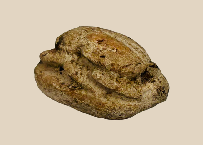 Ancient Egyptian carved steatite scarab amulet with engraved underside, warm desert patina, circa New Kingdom to Late Period 1500–600 BC