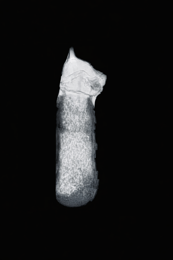 X-ray imaging used to analyze the internal structure of a historical artifact