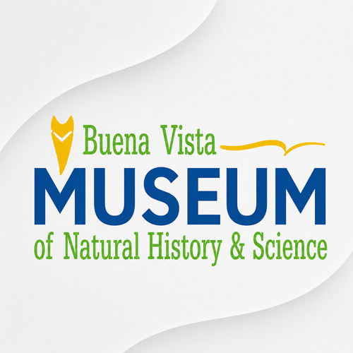 Buena Vista Museum of Natural History & Science logo with blue, green, and yellow typography on a clean light background.